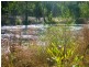 Lot 2 Banana Bridge Road, Kogan QLD 4406