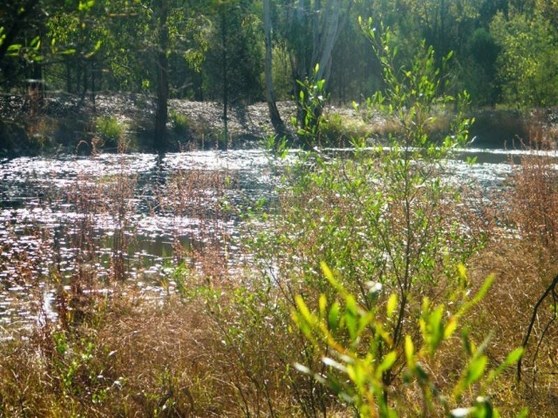 Lot 2 Banana Bridge Road, Kogan QLD 4406