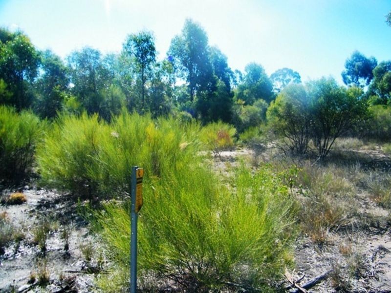 Lot 184 Tregathlyn Road, Tara QLD 4421