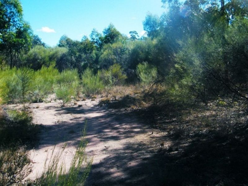 Lot 184 Tregathlyn Road, Tara QLD 4421