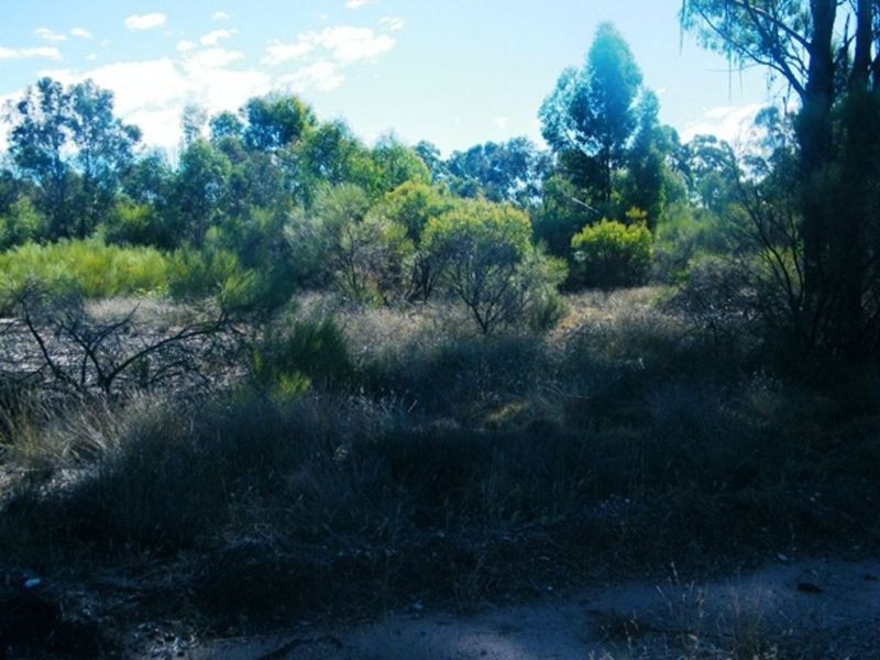 Lot 184 Tregathlyn Road, Tara QLD 4421