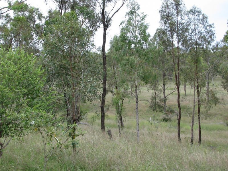 Lots 5 and 6 Shellytop Road, Durong QLD 4610