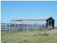 421 Chances Plains Road, Chinchilla QLD 4413