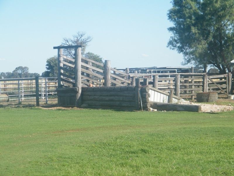 175 Len Middletons Road, Brigalow QLD 4412