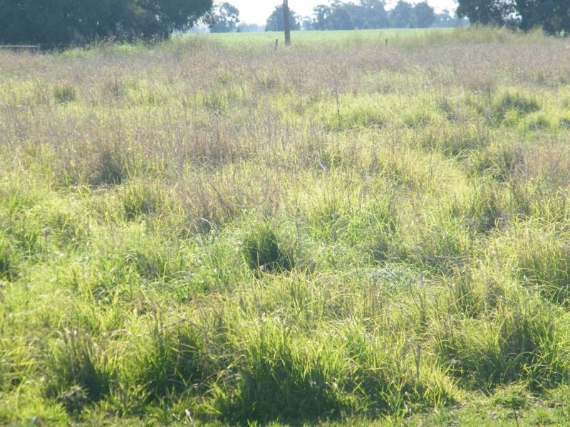 175 Len Middletons Road, Brigalow QLD 4412