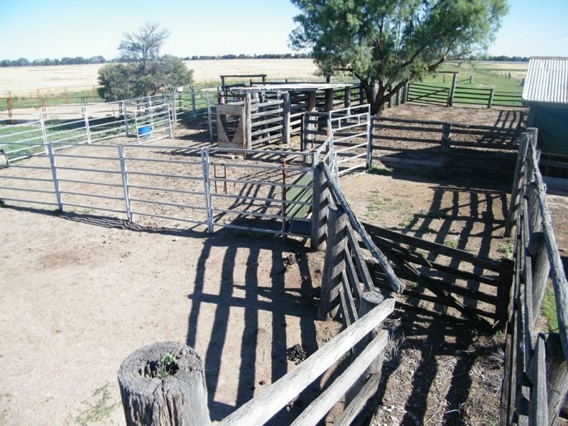 175 Len Middletons Road, Brigalow QLD 4412