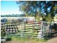 301 Leichhardt Highway, Miles QLD 4415