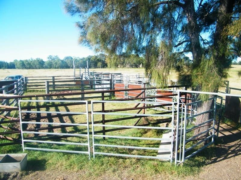 301 Leichhardt Highway, Miles QLD 4415