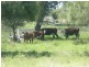 Lot 94 Lees Road, Chinchilla QLD 4413