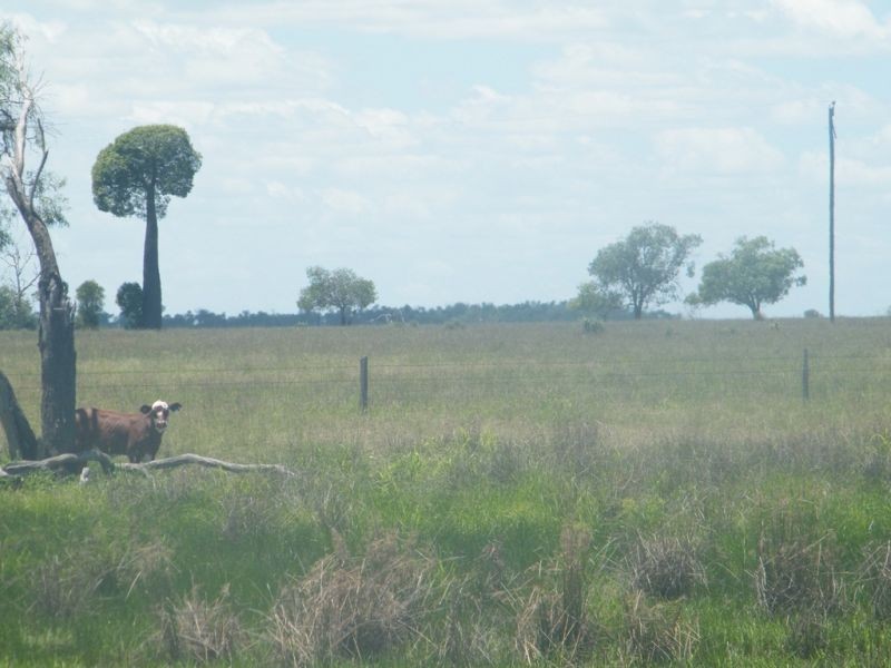 Lot 94 Lees Road, Chinchilla QLD 4413