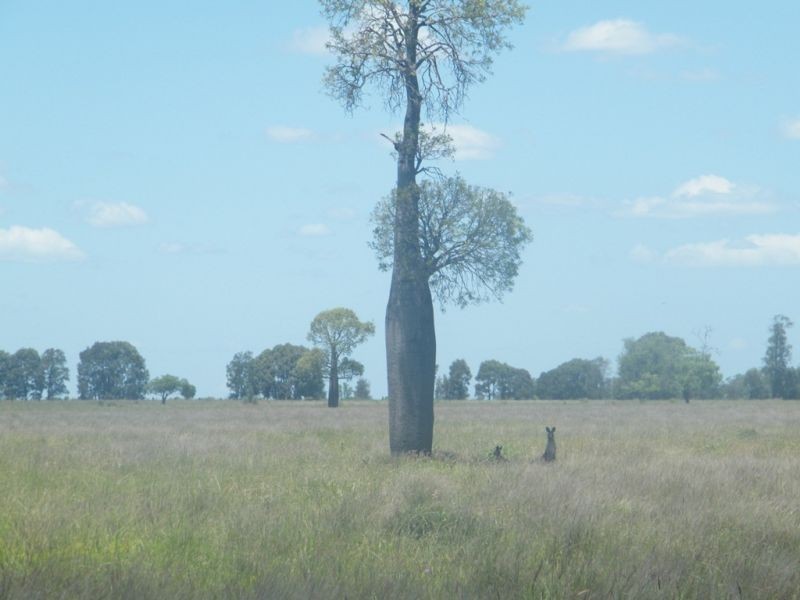 Lot 94 Lees Road, Chinchilla QLD 4413