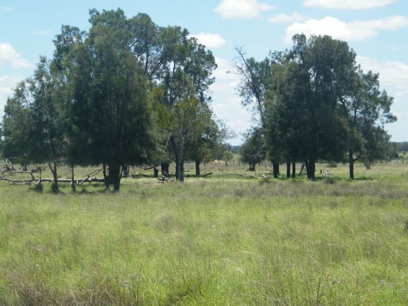 Lot 94 Lees Road, Chinchilla QLD 4413