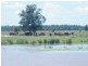 Lot 94 Lees Road, Chinchilla QLD 4413