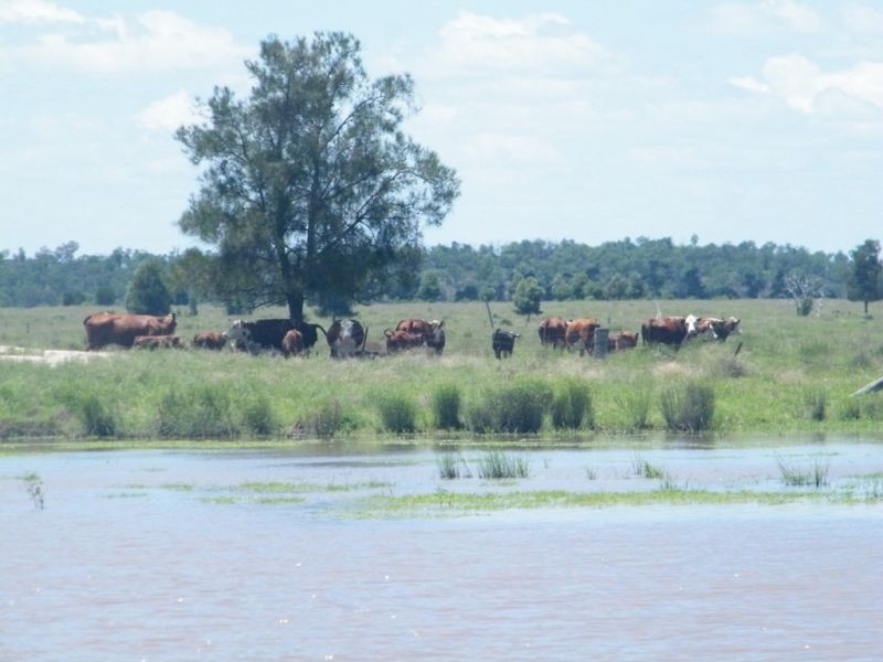 Lot 94 Lees Road, Chinchilla QLD 4413
