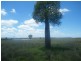 Lot 94 Lees Road, Chinchilla QLD 4413