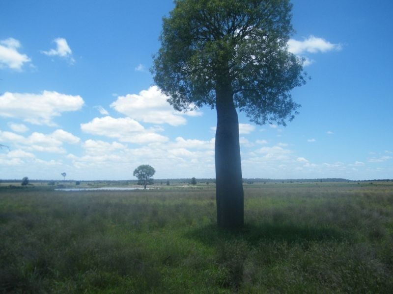 Lot 94 Lees Road, Chinchilla QLD 4413
