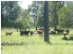 Lot 94 Lees Road, Chinchilla QLD 4413