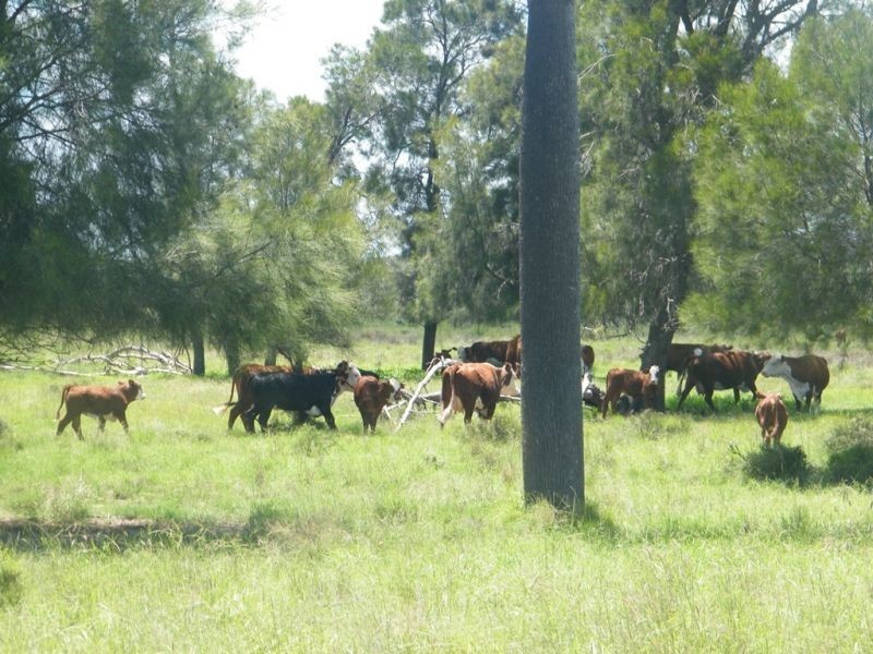 Lot 94 Lees Road, Chinchilla QLD 4413