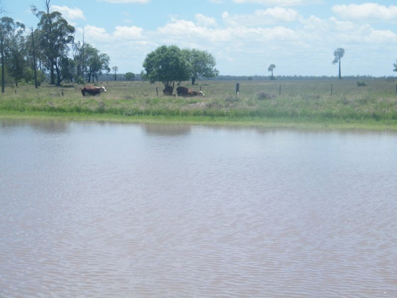 Lot 94 Lees Road, Chinchilla QLD 4413
