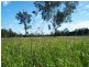 Lot 2 Auburn Road, Chinchilla QLD 4413