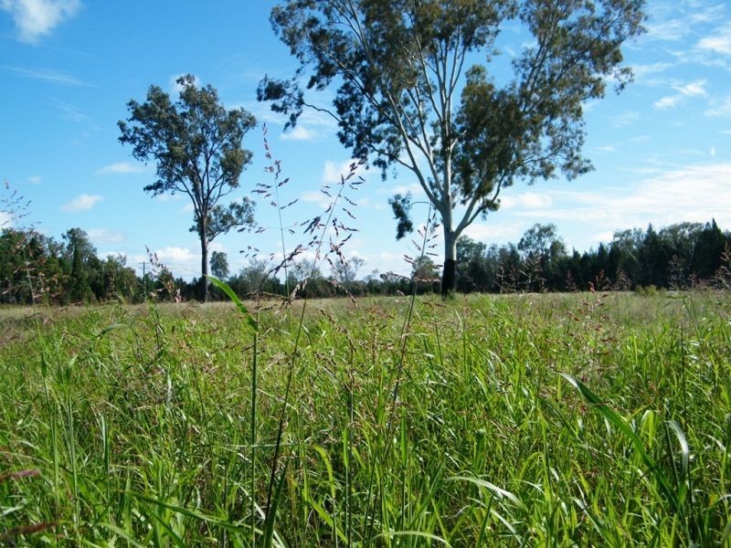 Lot 2 Auburn Road, Chinchilla QLD 4413