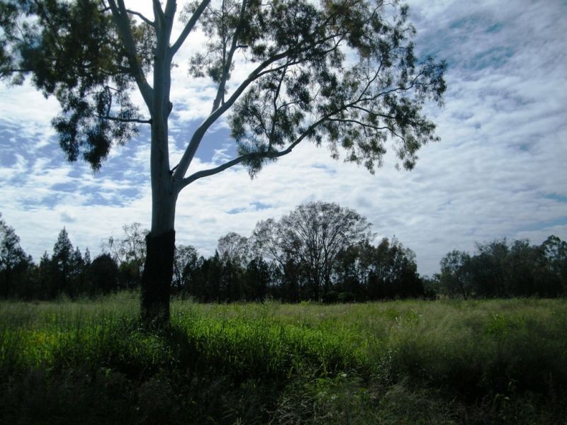 Lot 2 Auburn Road, Chinchilla QLD 4413