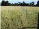 . Barnham Downs, Kogan QLD 4406