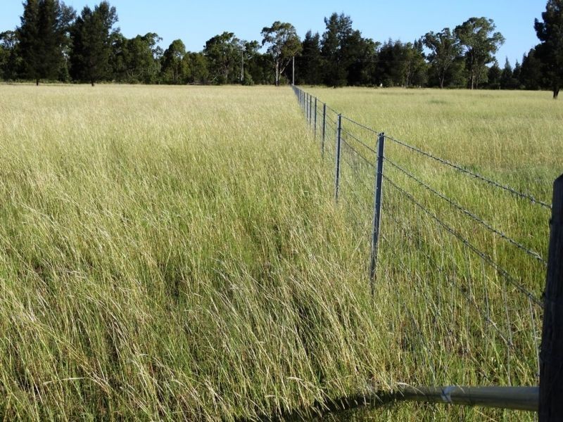 . Barnham Downs, Kogan QLD 4406