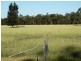 . Barnham Downs, Kogan QLD 4406