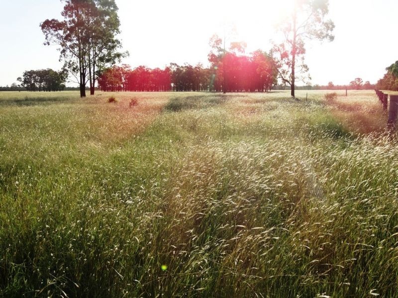 . Barnham Downs, Kogan QLD 4406