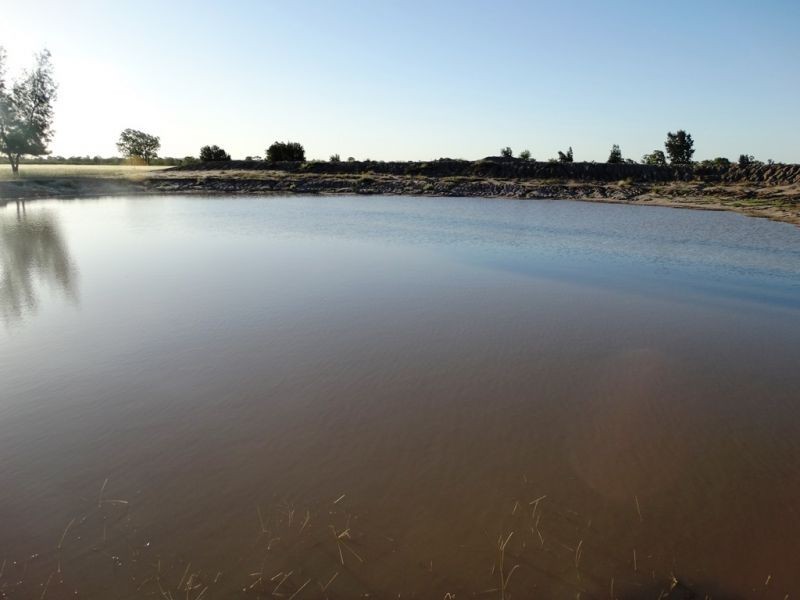 . Barnham Downs, Kogan QLD 4406