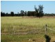 . Barnham Downs, Kogan QLD 4406
