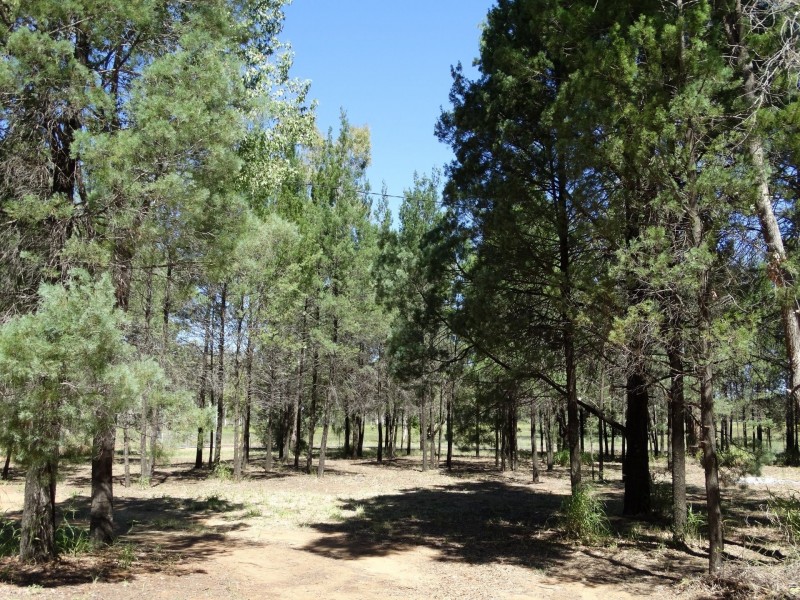 Lot 11/22 Racecourse Road, Chinchilla QLD 4413