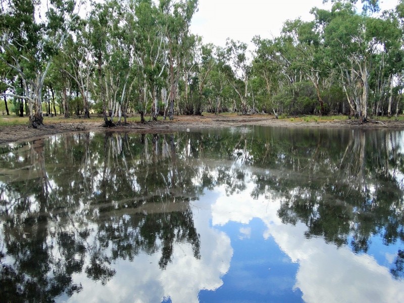 Lots 10, 11 & 13 Cartens Lane, Tara QLD 4421