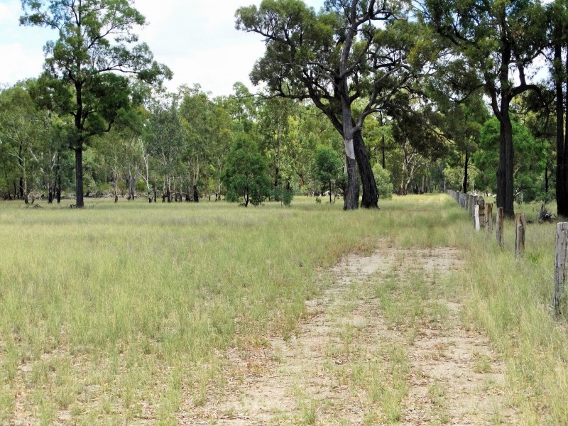 Lots 10, 11 & 13 Cartens Lane, Tara QLD 4421