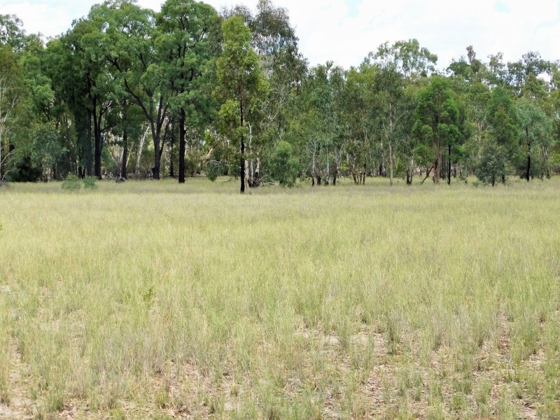 Lots 10, 11 & 13 Cartens Lane, Tara QLD 4421