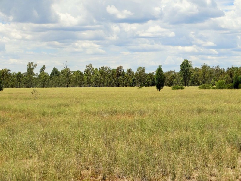 Lots 10, 11 & 13 Cartens Lane, Tara QLD 4421