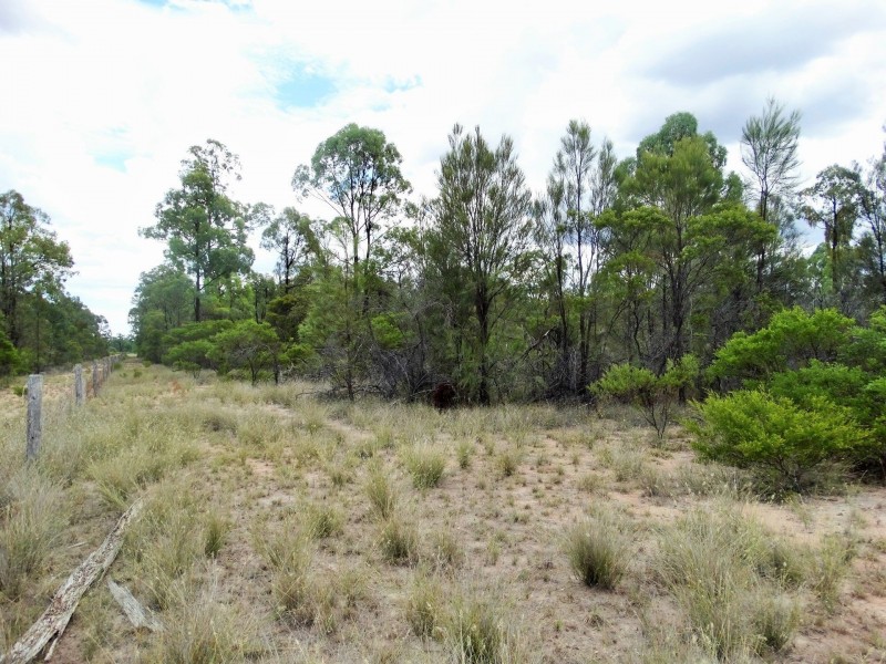 Lots 10, 11 & 13 Cartens Lane, Tara QLD 4421