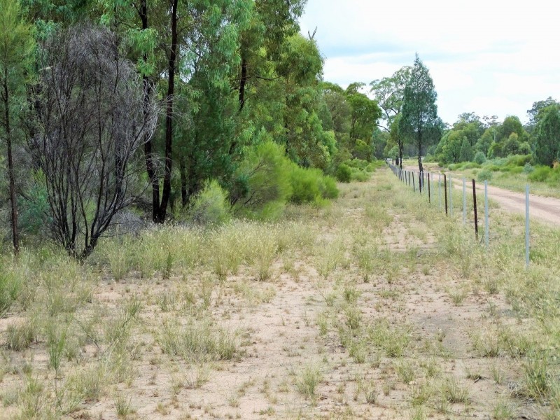 Lots 10, 11 & 13 Cartens Lane, Tara QLD 4421