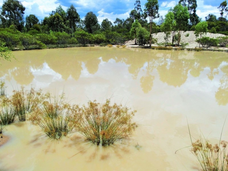 Lots 10, 11 & 13 Cartens Lane, Tara QLD 4421