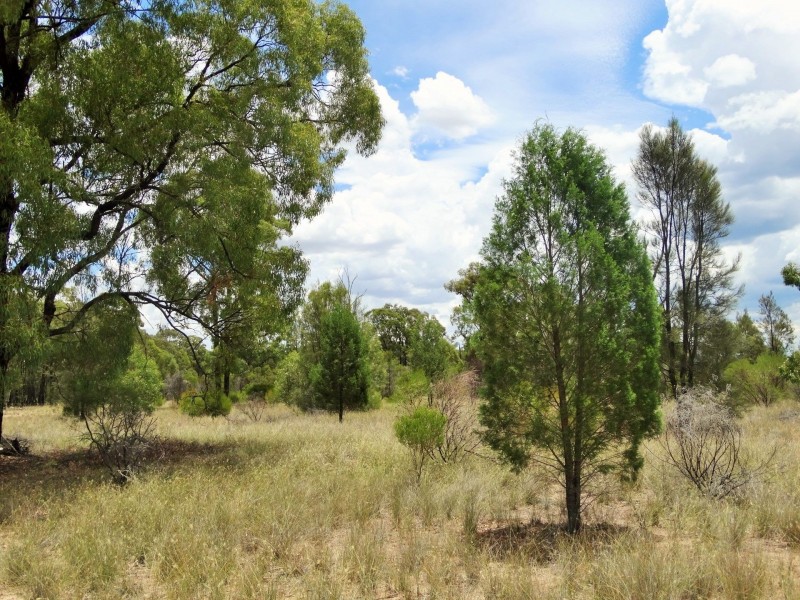 Lots 10, 11 & 13 Cartens Lane, Tara QLD 4421