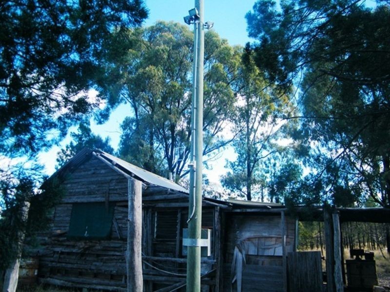 575 Weitzels Road, Tara QLD 4421