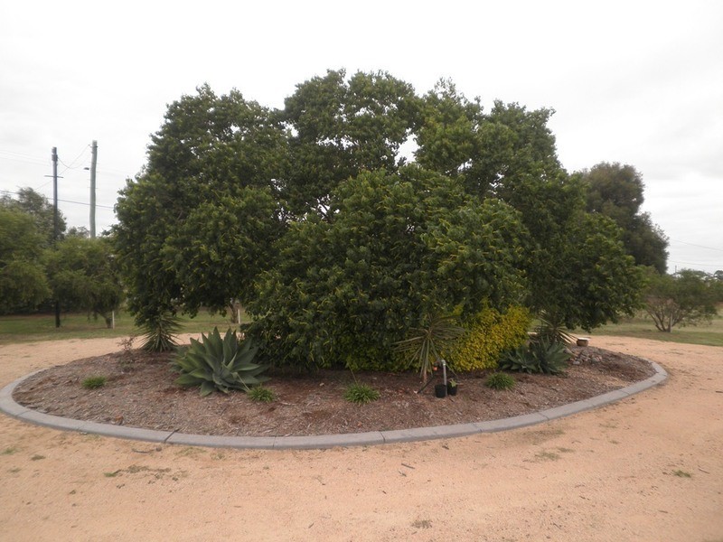 5 Beech Court, Chinchilla QLD 4413