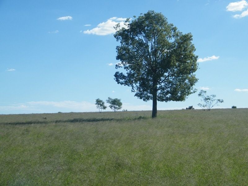 598 Bullrush-Billabong Road, Miles QLD 4415