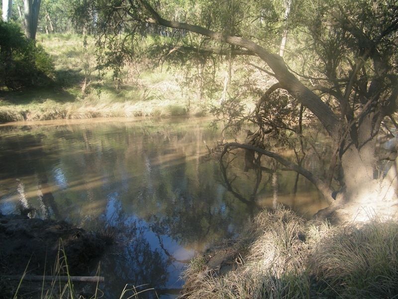 598 Bullrush-Billabong Road, Miles QLD 4415