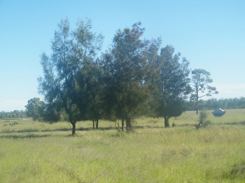 598 Bullrush-Billabong Road, Miles QLD 4415