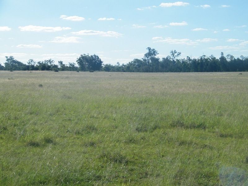 598 Bullrush-Billabong Road, Miles QLD 4415