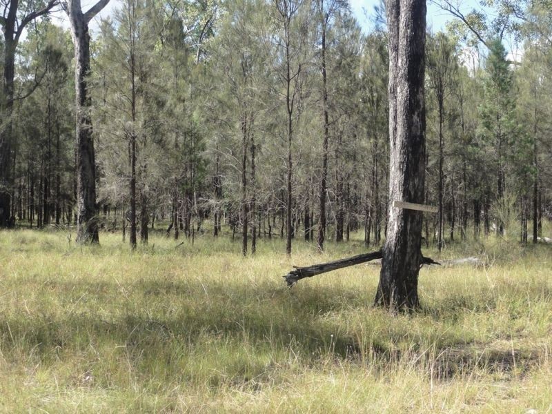 Lot 6 Millbank Boundary Road, Chinchilla QLD 4413
