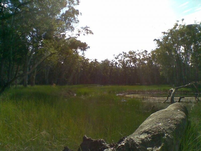 Lot 6 Millbank Boundary Road, Chinchilla QLD 4413