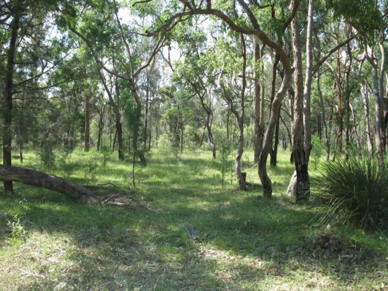 Lot 16 Durah Road, Chinchilla QLD 4413